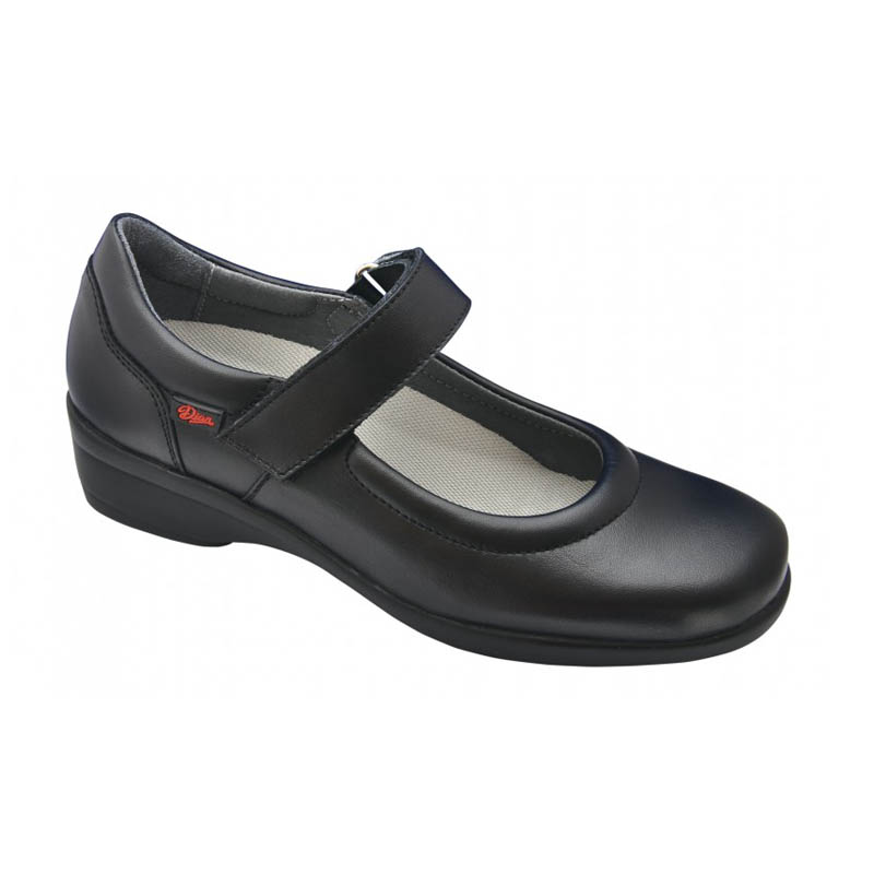 ZAPATO FEMENINO EJECUTIVO DIAN BAILARINA-C